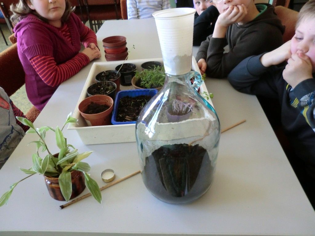 garten in der flasche