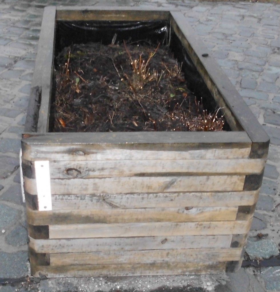 Das Kreuz mit dem Garten | Helgas Garten