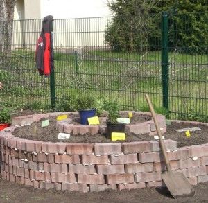 Kräuterspirale im Schulgarten | Helgas Garten