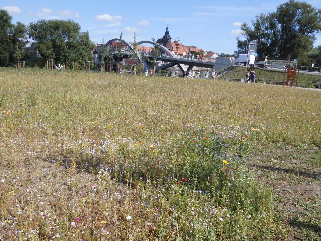 Ich brauche Hilfe! Helgas Garten